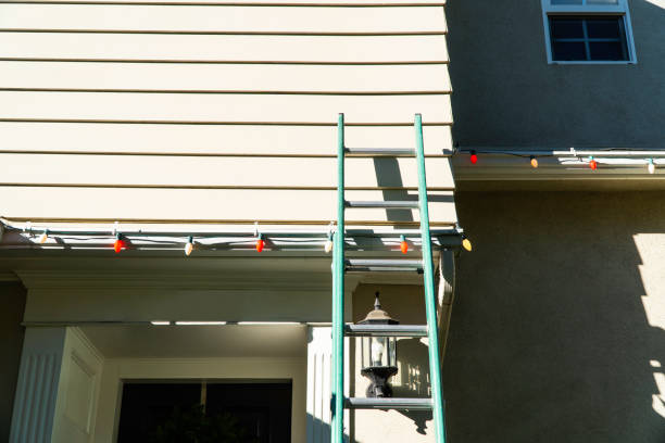 Best Custom Trim and Detailing for Siding  in Lakehills, TX