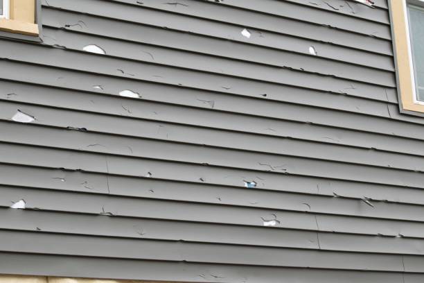 Best Insulated Siding Installation  in Lakehills, TX